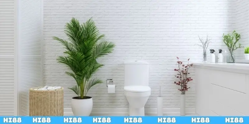 Chiêm bao có người giúp chuyển toilet là chuyện tốt