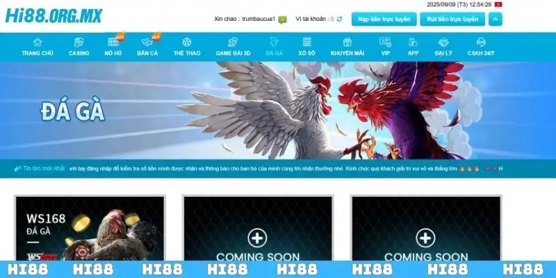 Tổng quan chung về chuyên mục đá gà Hi88