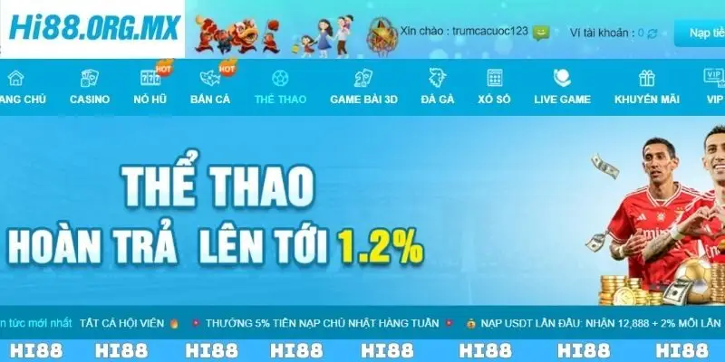 Thể thao Hi88 - Sân chơi thú vị